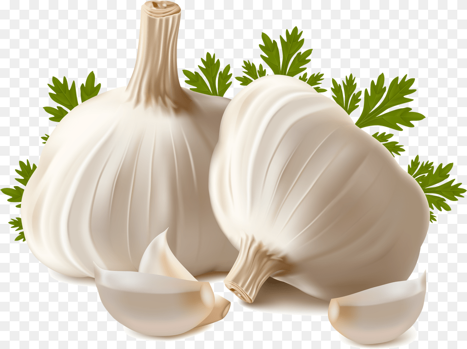 Garlic Image Garlic, Food, Produce, Plant, Vegetable Png