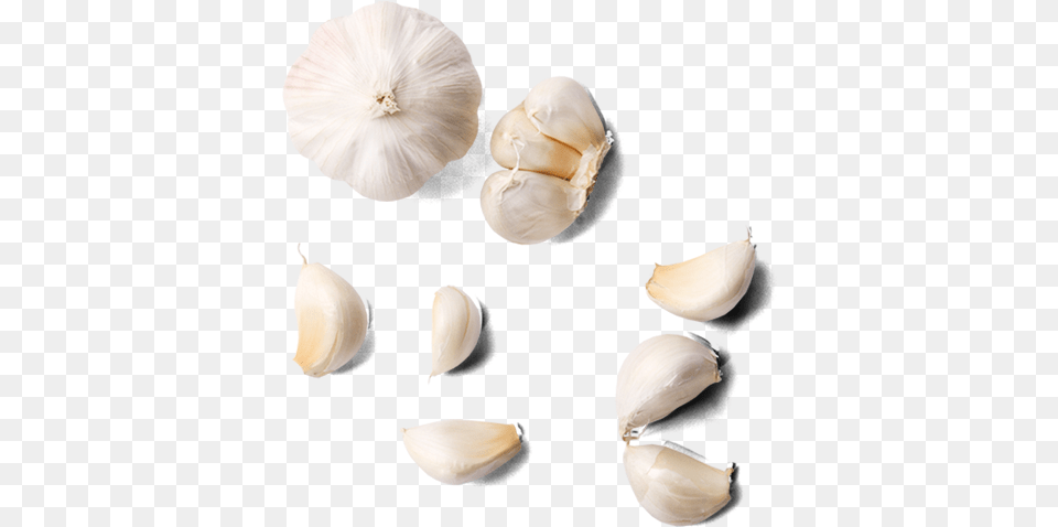 Garlic Image Garlic From Top, Food, Produce, Plant, Vegetable Free Png Download