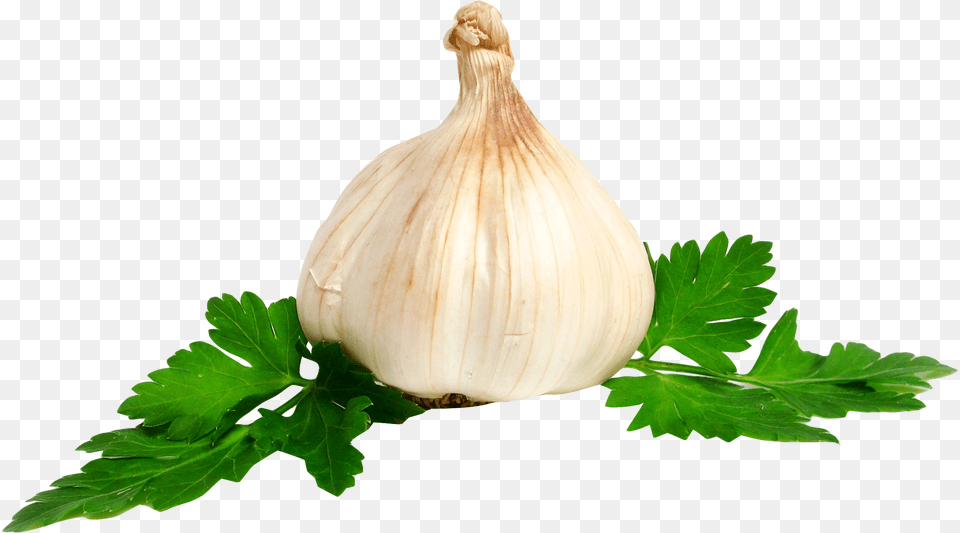 Garlic Image Garlic No Background, Plant, Food, Herbs, Produce Free Png Download