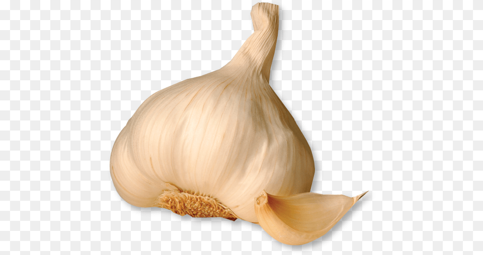 Garlic Image Images Of Garlic Peels, Food, Produce, Plant, Vegetable Free Transparent Png