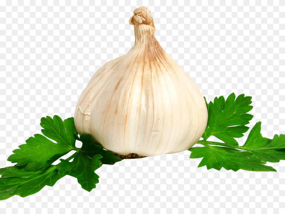 Garlic Image Transparent Best Stock Photos, Herbs, Plant, Food, Produce Free Png Download