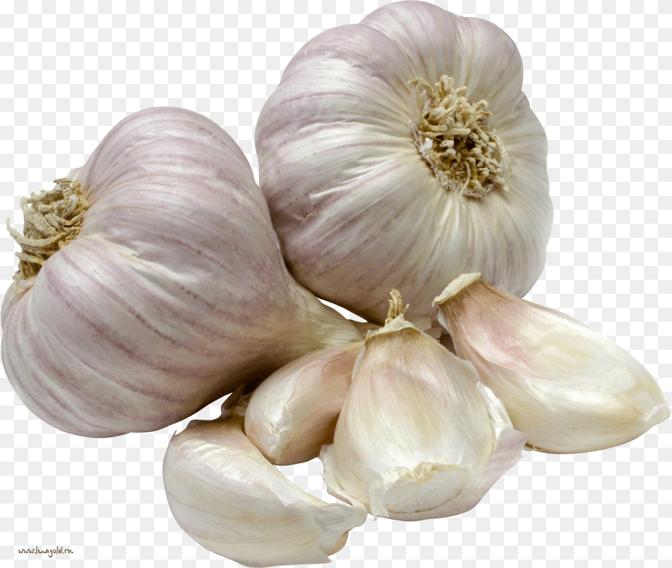 Garlic Indian, Food, Produce, Plant, Vegetable Free Transparent Png
