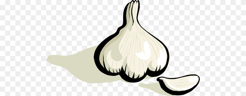 Garlic Large Size, Food, Produce, Plant, Vegetable Png Image