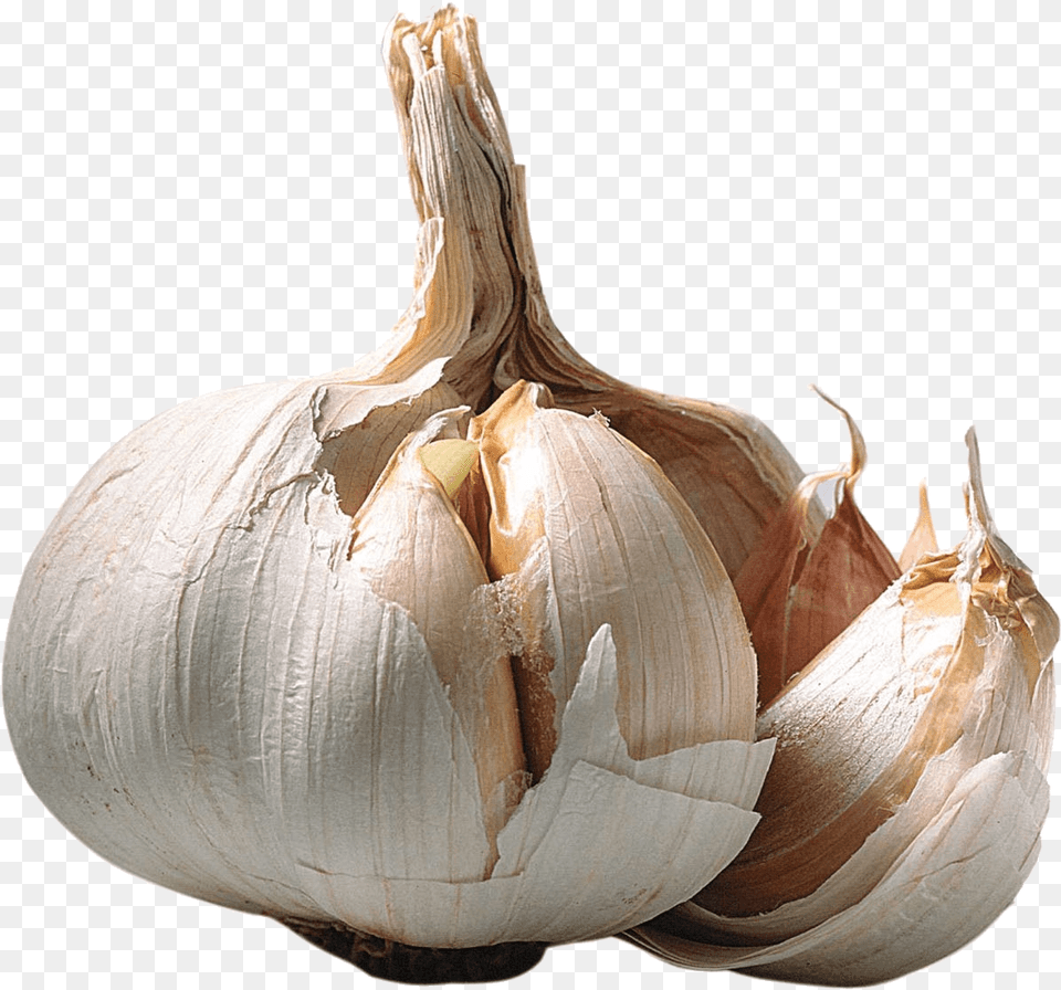 Garlic Opened Transparent Garlic With No Background, Food, Produce, Plant, Vegetable Free Png Download