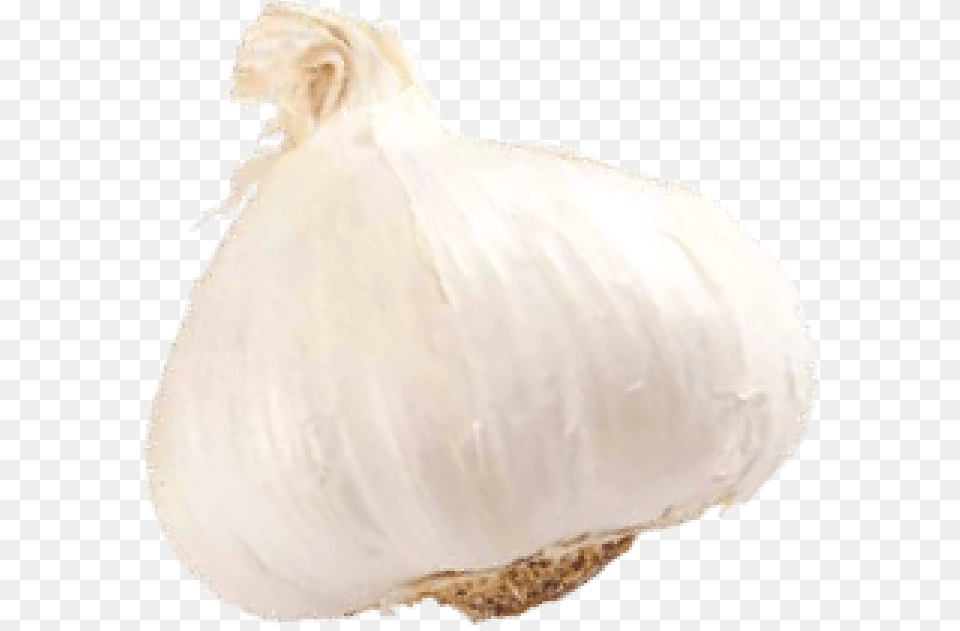 Garlic Pick It Try Like Preserve Soft, Food, Produce, Vegetable, Plant Free Transparent Png