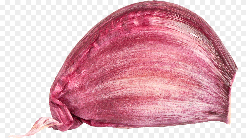 Garlic Red Onion, Food, Produce, Adult, Female Free Png