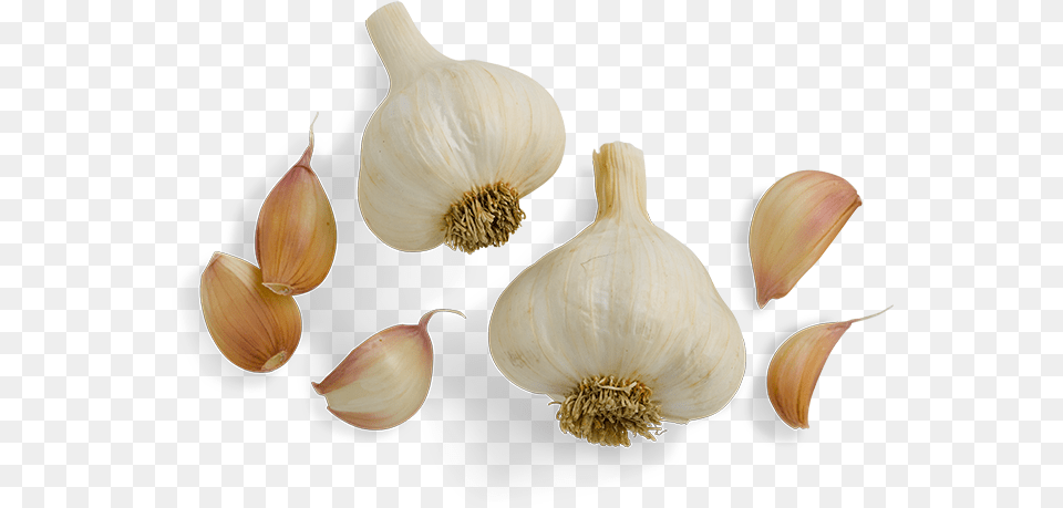 Garlic Sweet Italian Sausage Vermont Smoke Cure Garlic Clove No Background, Food, Produce, Fungus, Plant Png