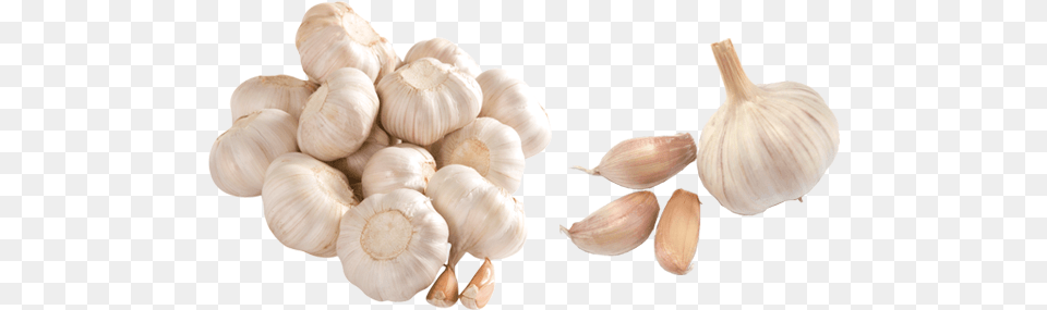 Garlic Transparent Background Transparent Background Garlic, Food, Produce, Fungus, Plant Png