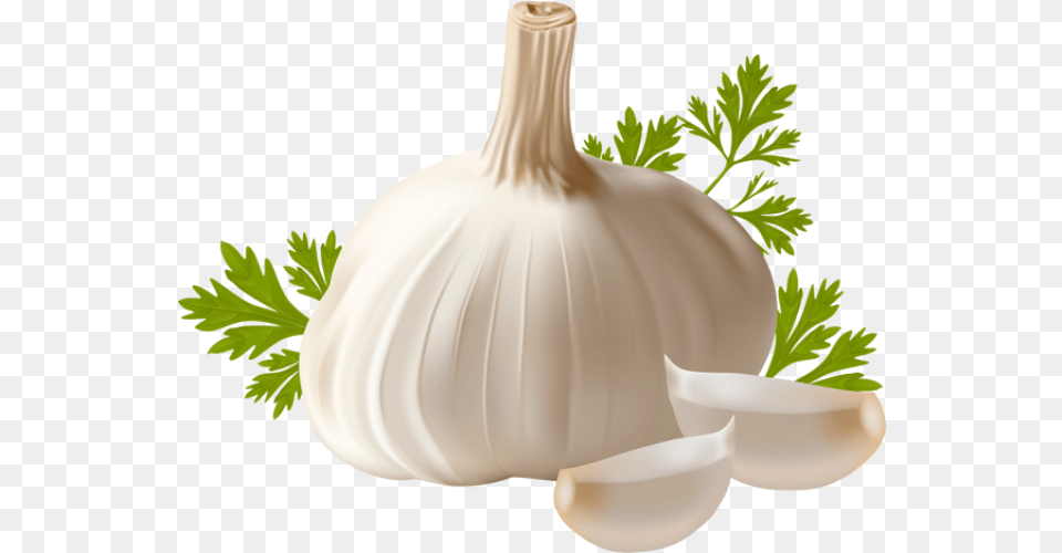 Garlic Transparent File Transparent Background Garlic, Herbs, Plant, Food, Produce Free Png Download