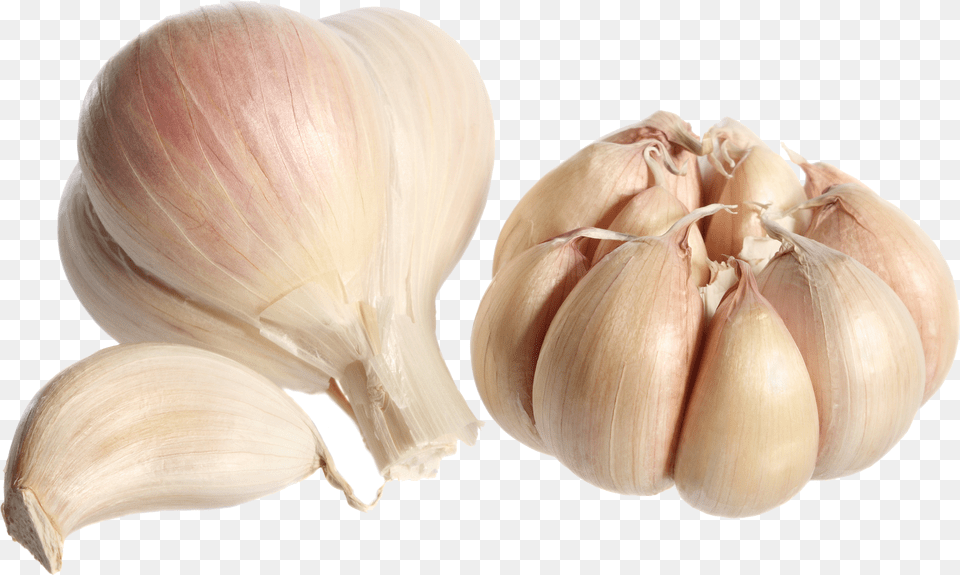 Garlic Transparent Garlic, Shorts, Clothing, Adult, Person Png