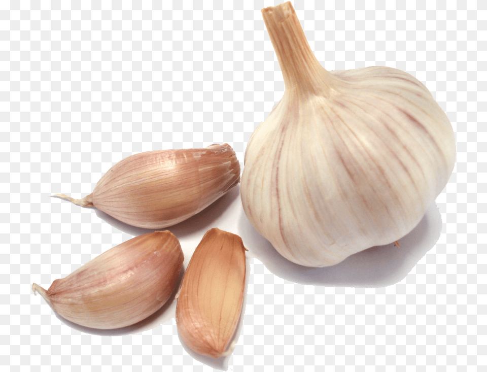 Garlic Transparent Images Garlic Transparent, Food, Produce, Plant, Vegetable Png