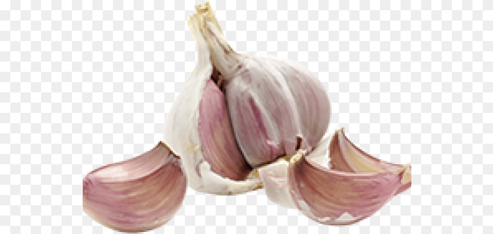 Garlic Transparent Images Thrush On The Vagina, Food, Produce, Plant, Vegetable Free Png