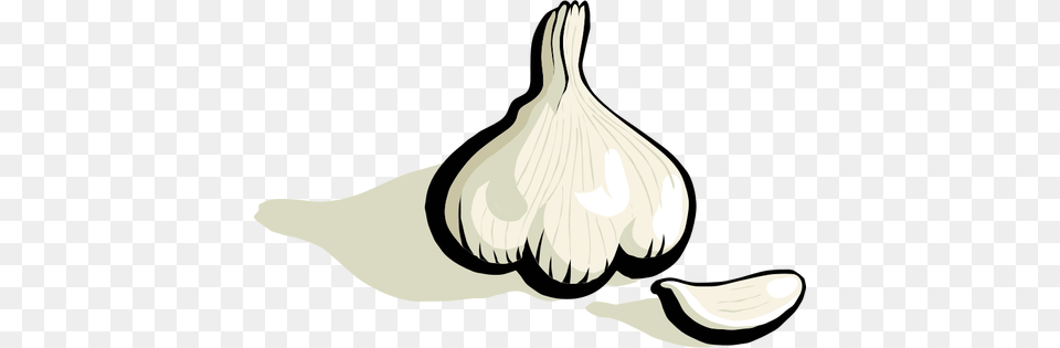 Garlic Vector Clip Art, Food, Produce, Plant, Vegetable Free Transparent Png