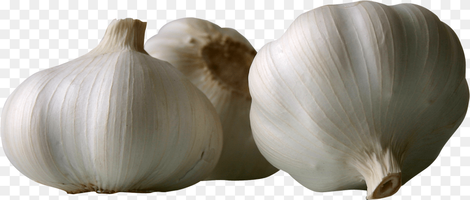 Garlics Image, Food, Produce, Garlic, Plant Free Transparent Png