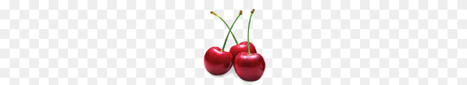 Garnet Rivermaid Trading Company, Cherry, Food, Fruit, Plant Png Image