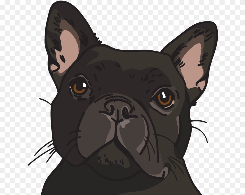 Gary French Bulldog, Animal, Canine, Dog, French Bulldog Png