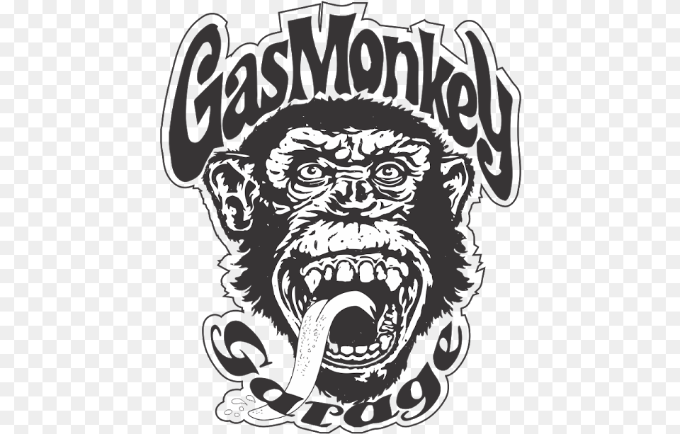Gas Monkey, Animal, Ape, Mammal, Wildlife Free Png