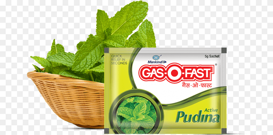 Gaso Fast Pudina Gasofast, Herbal, Herbs, Mint, Plant Free Png Download