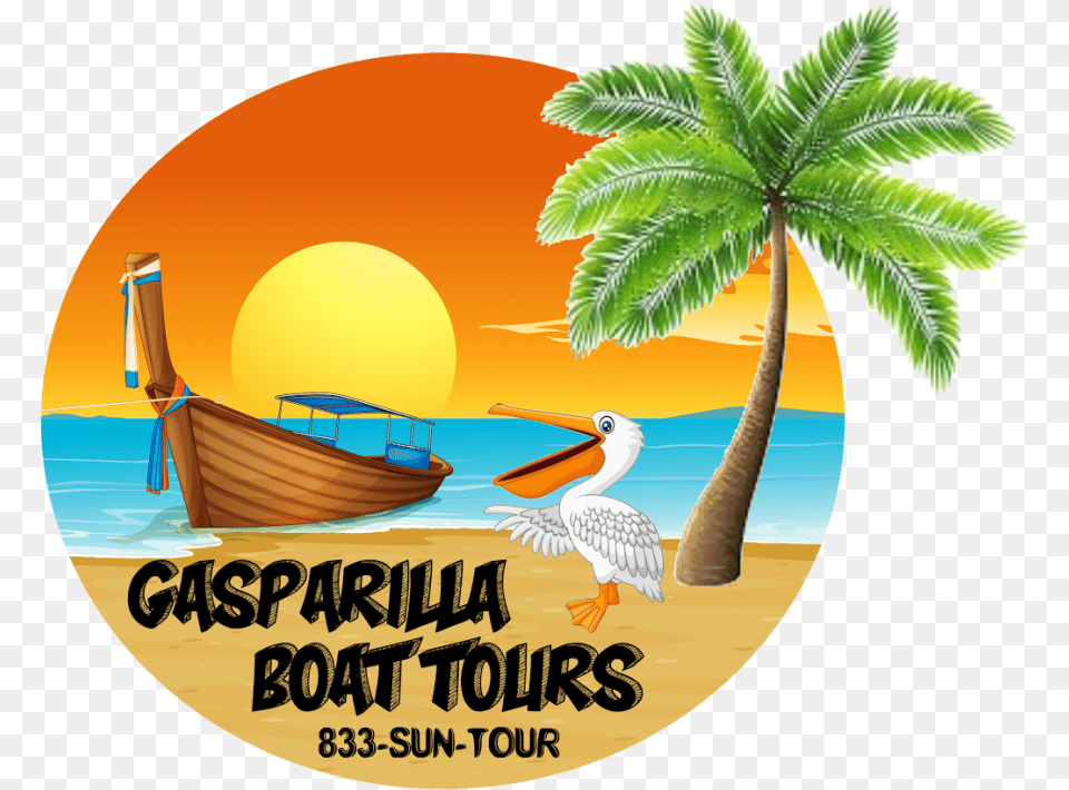 Gasparilla Boat Tours Camiseta 100 Personalizada A4 Moana, Summer, Tree, Palm Tree, Plant Free Png Download