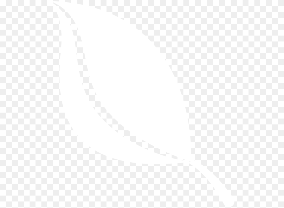 Gasrec White Samsung Logo, Leaf, Plant, Bow, Weapon Png Image