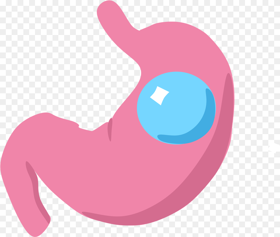 Gastric Balloon Icon Stomach Icon, Body Part, Animal, Fish, Sea Life Png Image