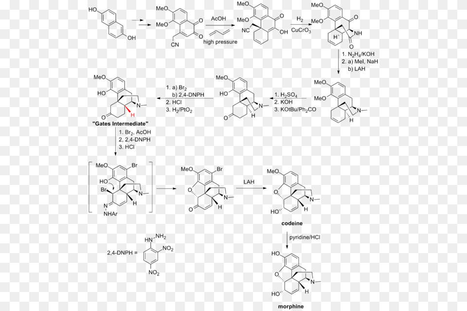 Gates Synthesis Morphine Synthesis, Nature, Outdoors, Blackboard, Snow Free Png Download