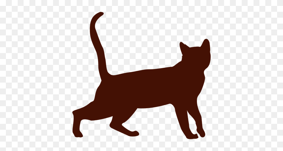 Gato Da Silhueta, Animal, Cat, Mammal, Pet Png