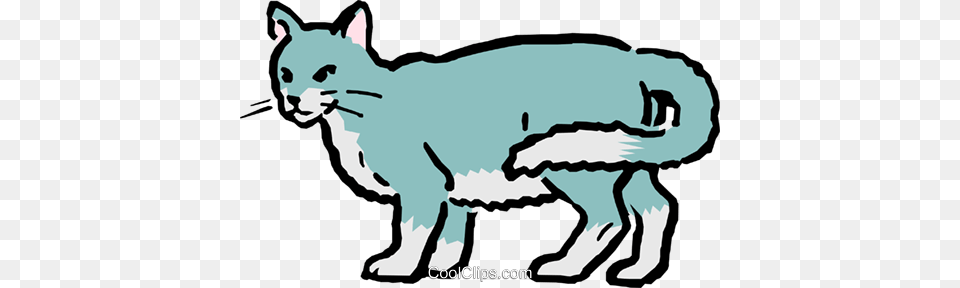 Gato Dos Desenhos Animados Livre De Direitos Vetores Clip Art, Animal, Mammal, Face, Head Png