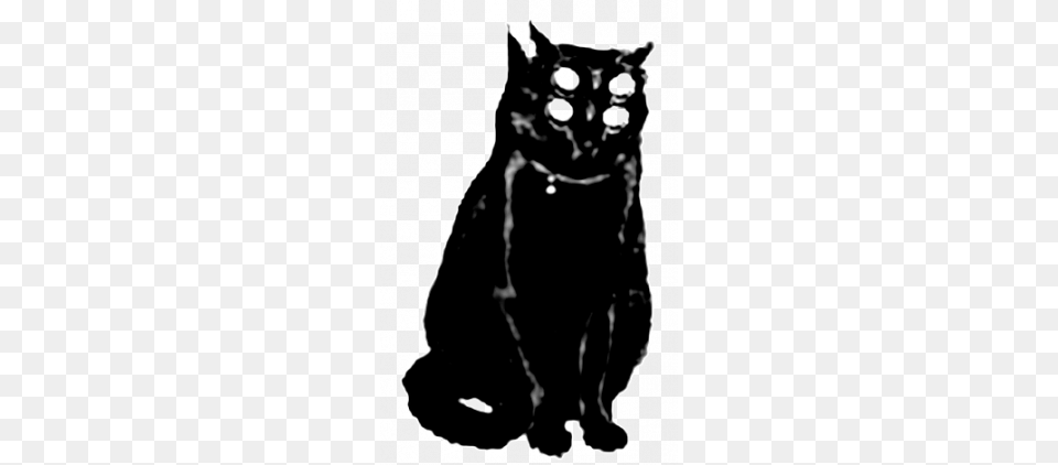 Gato Negro Ediciones Anagram Books, Animal, Cat, Mammal, Pet Free Transparent Png