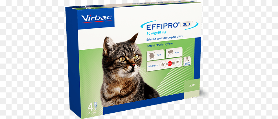 Gato Perro Virbac, Animal, Cat, Mammal, Pet Free Transparent Png