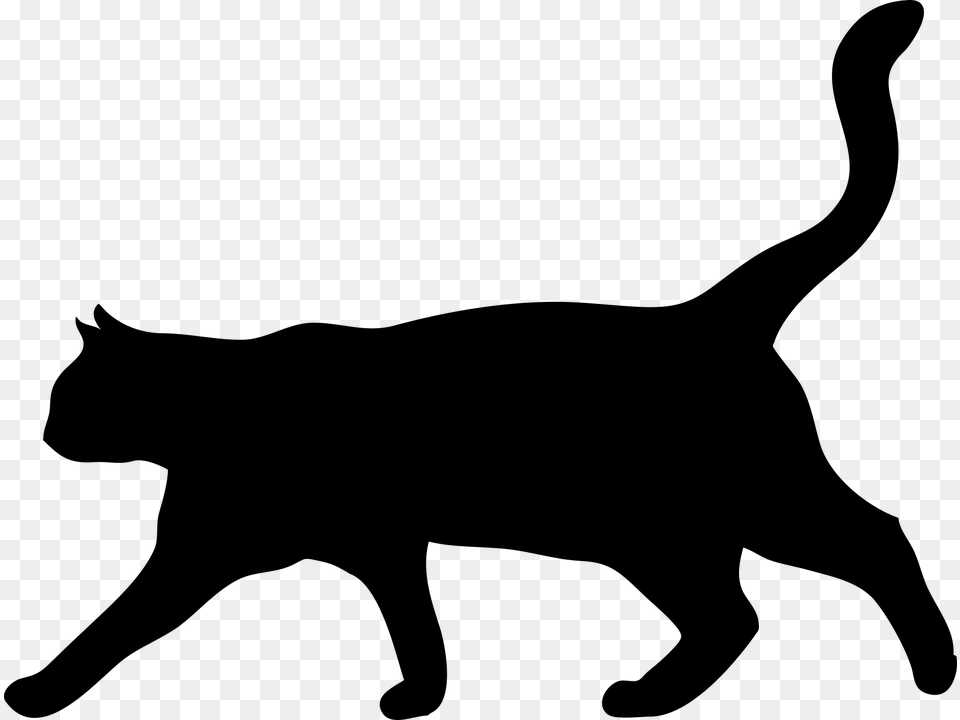 Gato Silhueta, Gray Png Image