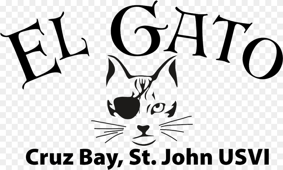 Gato Vi Site Update Asian, Art, Accessories, Text Free Transparent Png