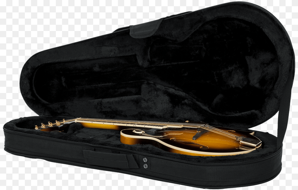 Gator Cases Mandolin Lightweight Case Viola, Musical Instrument, Face, Head, Person Png