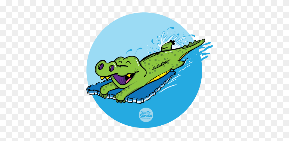 Gator Illustrations For The J Swim School Scott Soeder, Animal, Reptile, Fish, Sea Life Free Transparent Png