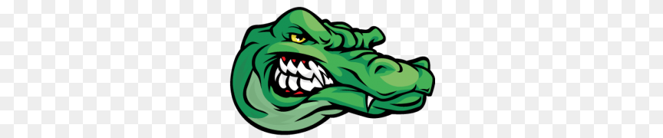 Gator Logo Image, Animal, Crocodile, Reptile, Baby Png