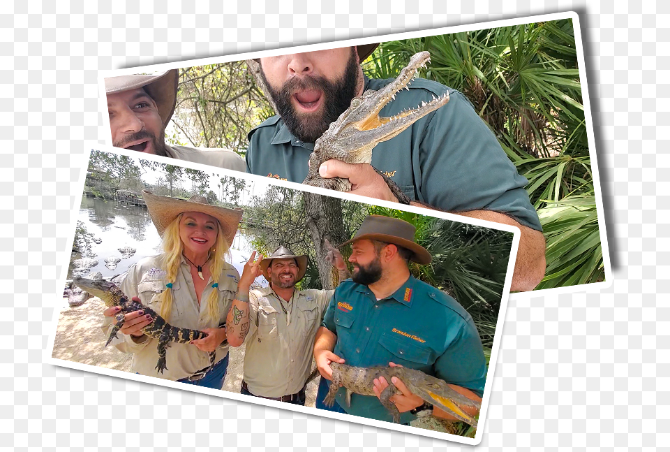 Gatorland Collage, Woman, Female, Person, Adult Free Png
