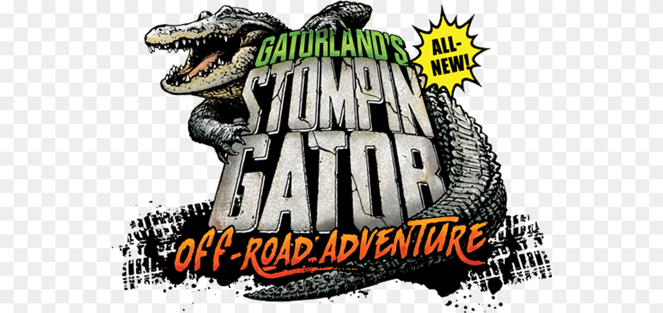 Gatorland Gator Stomp, Animal, Reptile, Crocodile, Lizard Free Png Download