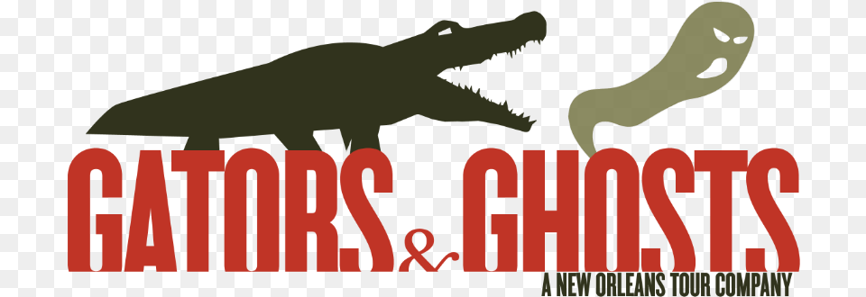 Gators And Ghosts A New Orleans Tour Company Nile Crocodile, Animal, Reptile, Bird Png Image