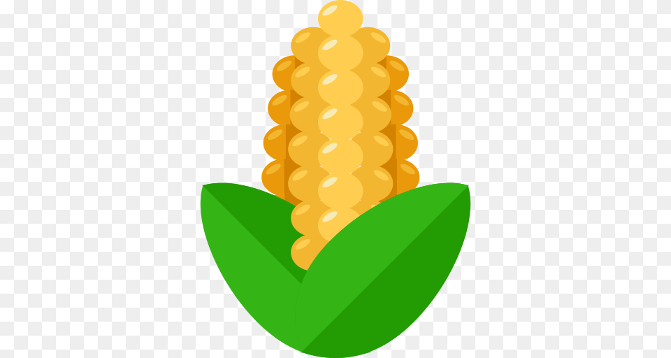 Gauze Icon, Corn, Food, Grain, Plant Free Transparent Png
