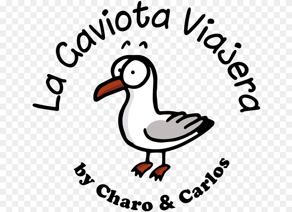 Gaviota Duck, Animal, Beak, Bird, Seagull Free Transparent Png