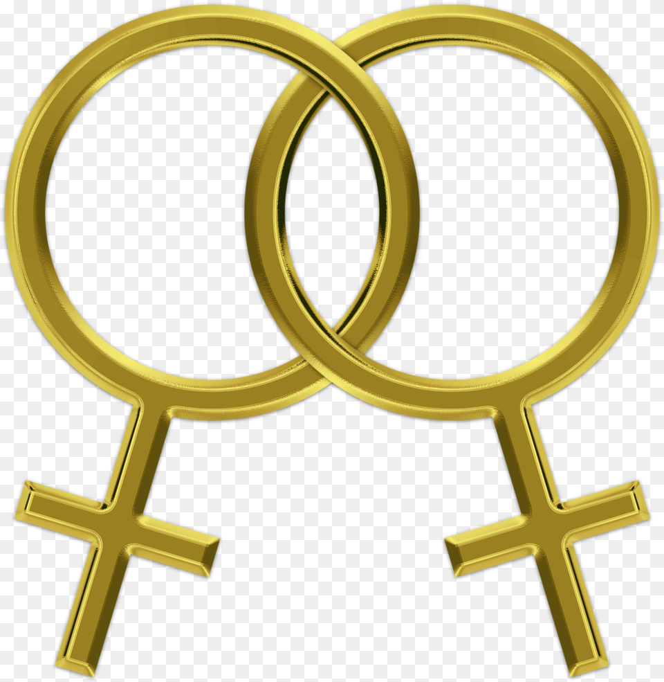 Gay Lesbian Symbol Free Image On Pixabay Simbolo Homosexual, Gold, Magnifying Png