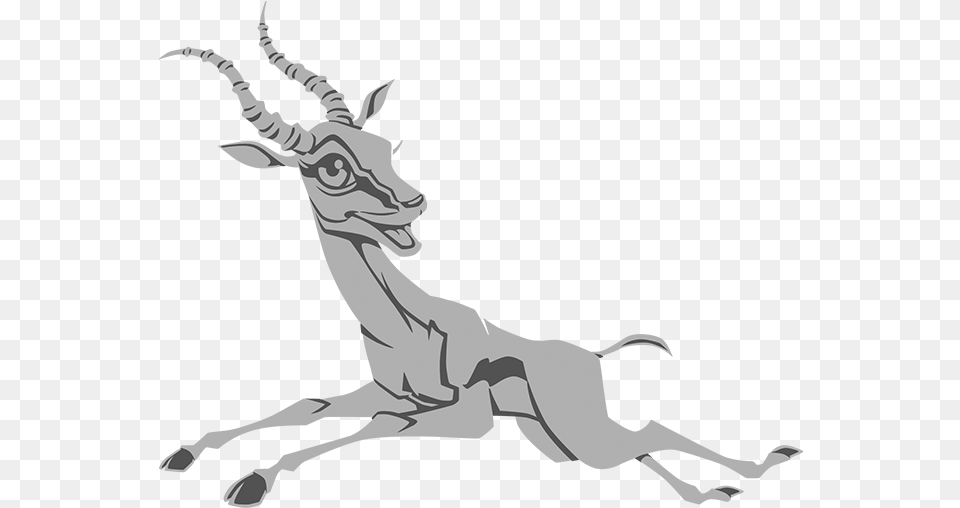 Gazelle, Animal, Antelope, Impala, Mammal Png