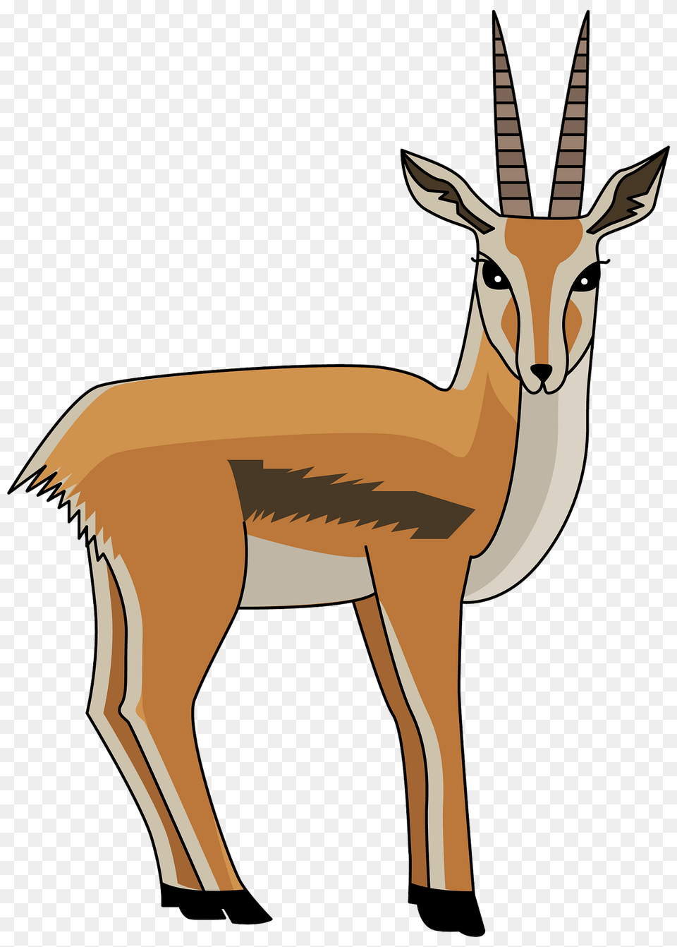 Gazelle Clipart, Animal, Antelope, Impala, Mammal Free Png Download