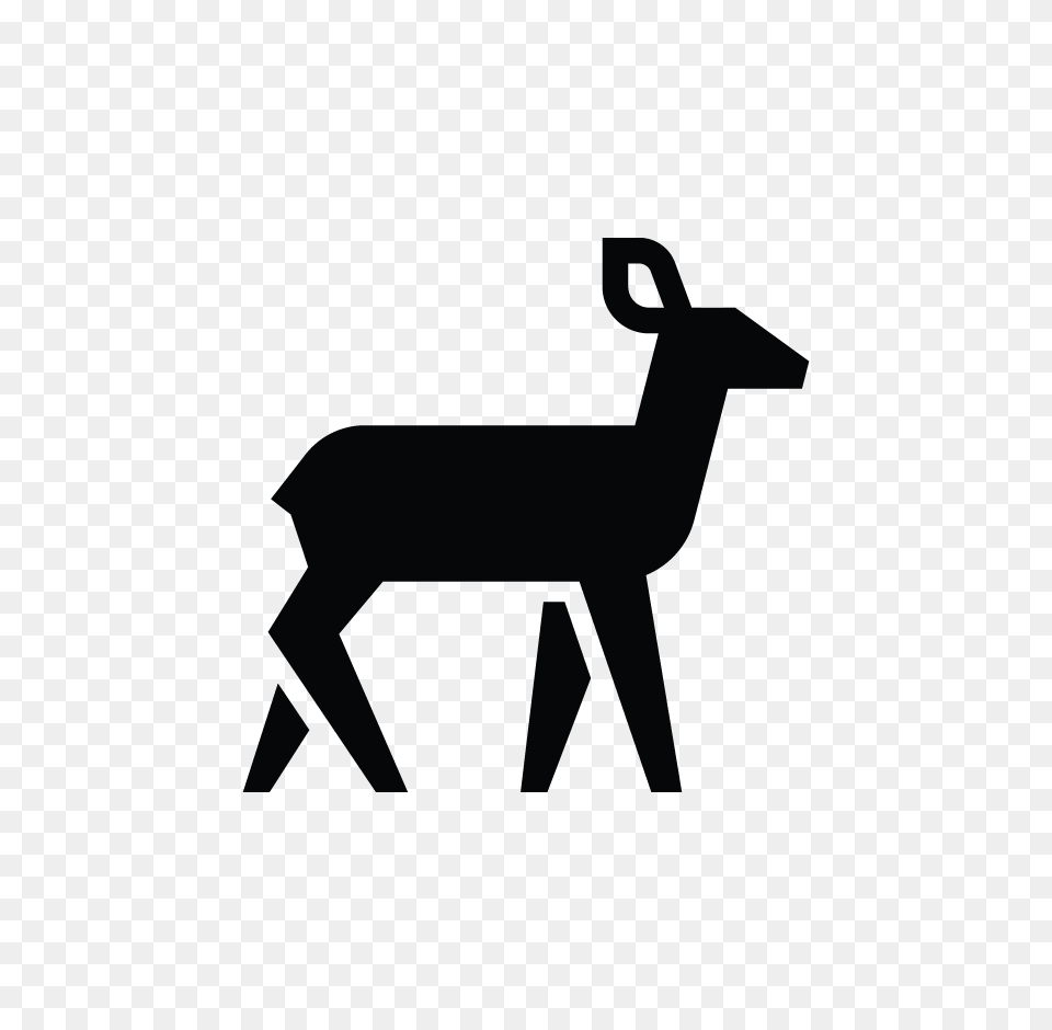 Gazelle Clipart Mule Deer, Animal, Mammal, Wildlife, Antelope Png Image