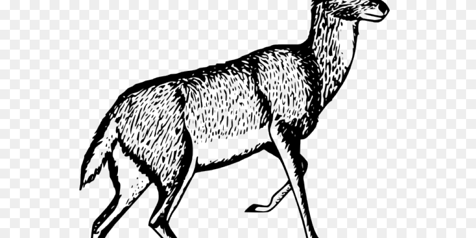 Gazelle Clipart Small Deer, Animal, Mammal, Wildlife, Person Free Transparent Png