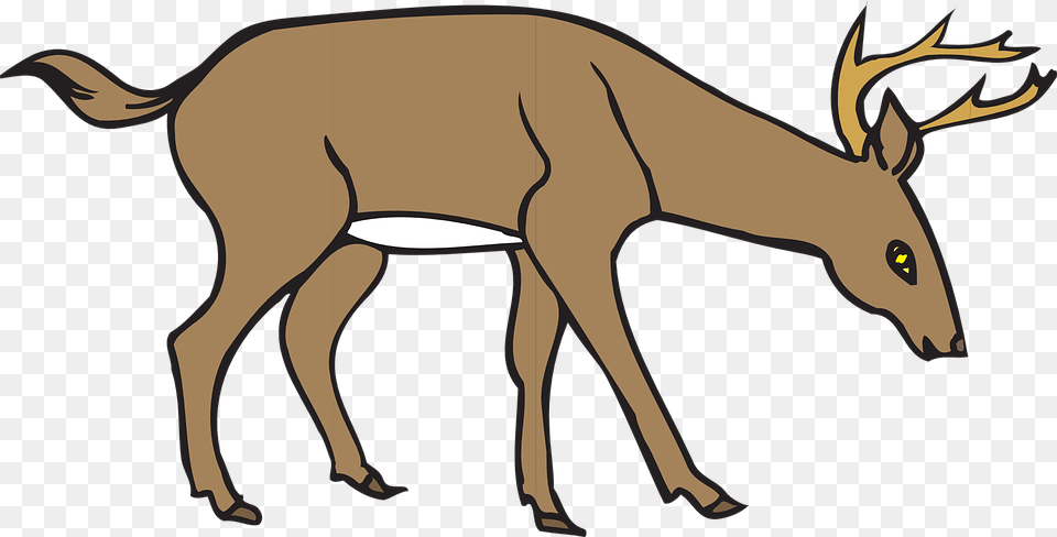 Gazelle Clipart Wild Deer, Animal, Mammal, Wildlife, Elk Png Image