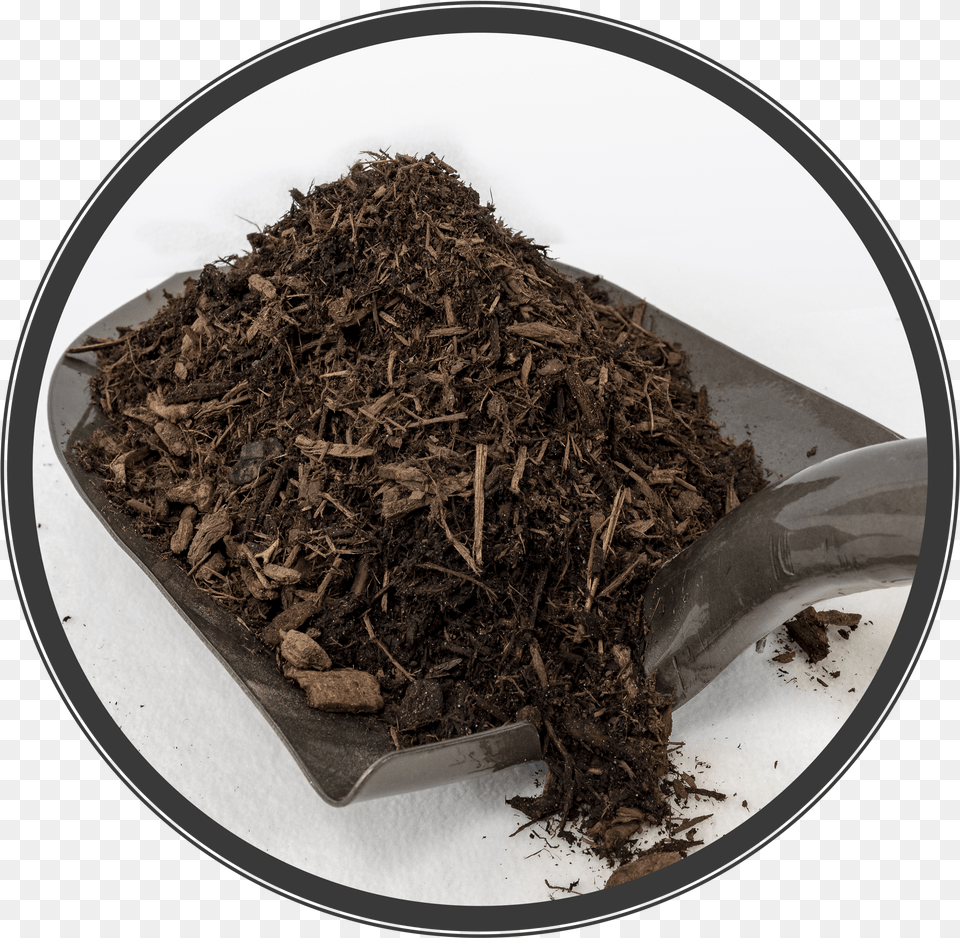 Gb Dark Pine Mulch Pu Erh Tea Png Image