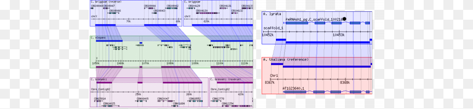 Gbrowse Syn At The Arabidopsis Information Resource Diagram, Text Free Png