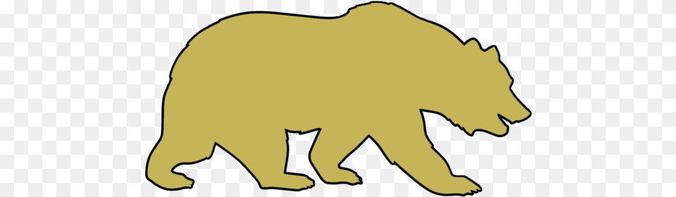 Gcba Bear, Animal, Mammal, Wildlife, Fish Png Image