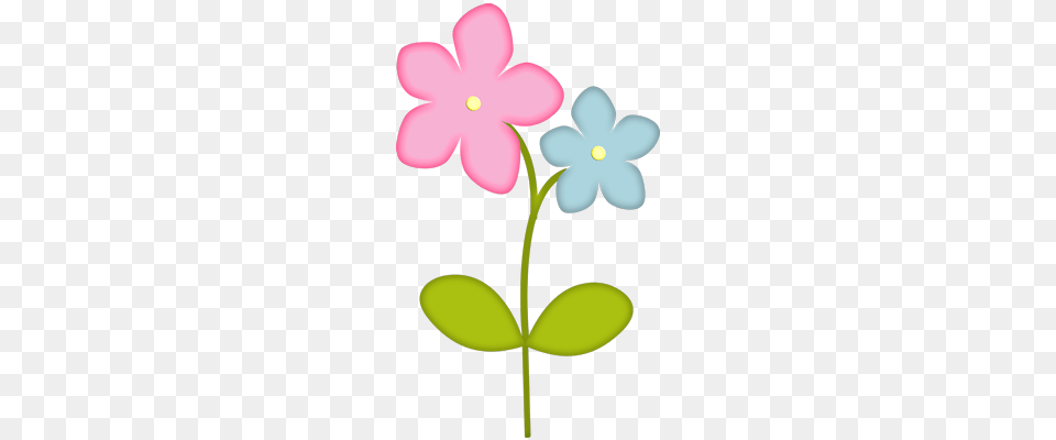 Gd Ss Flowers Clip Art Pictures, Anemone, Flower, Geranium, Petal Free Png